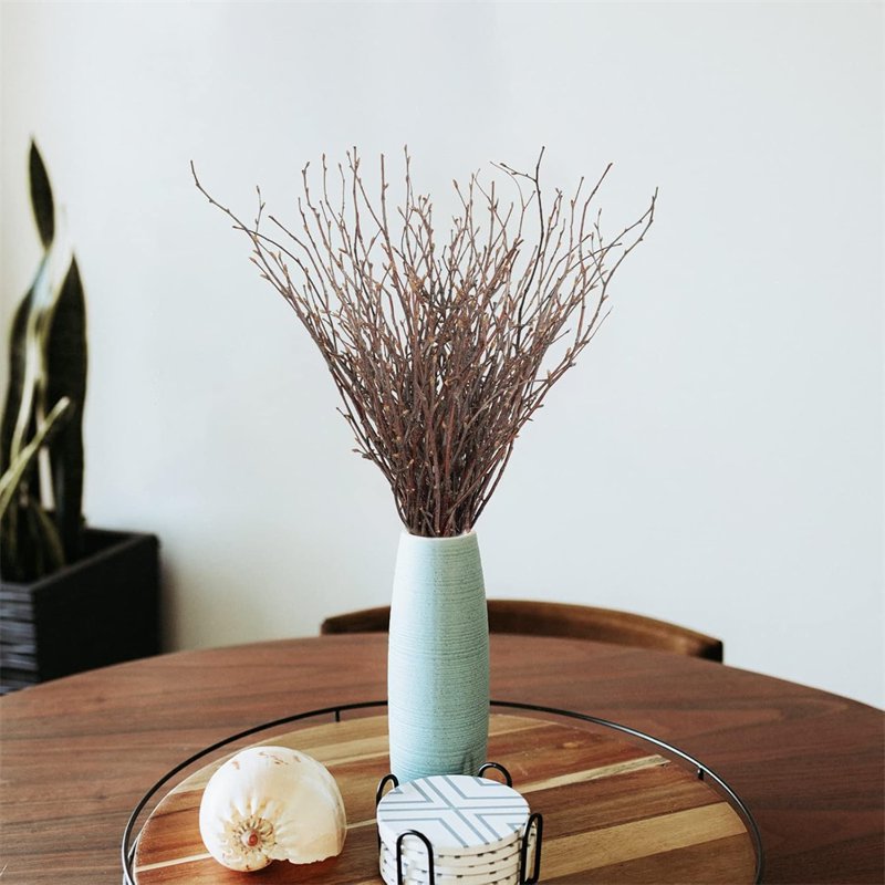 Dried Birch Twigs Branches for Vase Fillers and Decor - 20 Pack, Rustic Natural Look