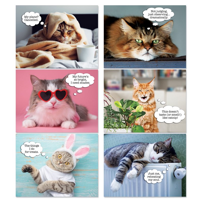 Current 2027 Cat Wall Calendar - Spiral-Bound Monthly Organizer for Kitchen & Office
