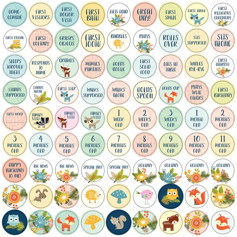 Woodland Friends Baby First Year Calendar - Milestones & Photo Organizer