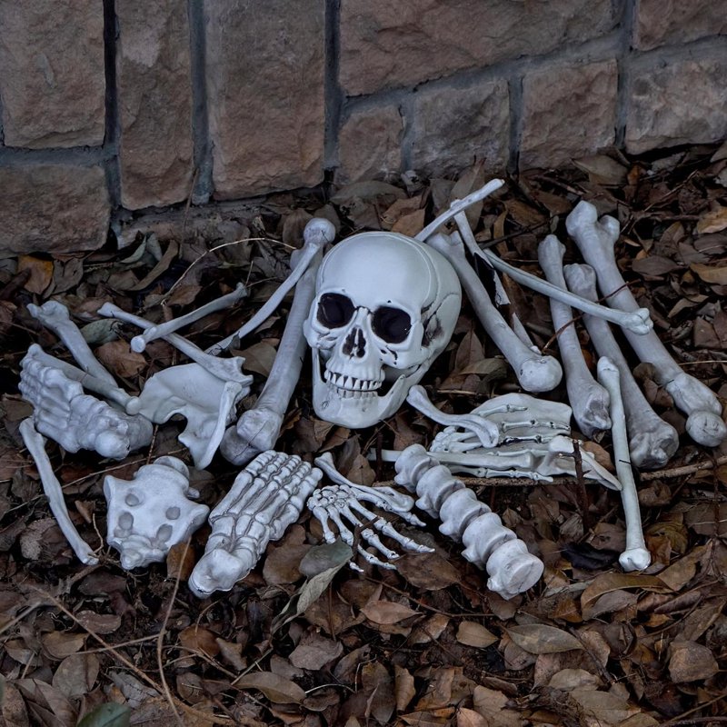 Joyfy 28 Pc Halloween Skeleton Bones & Skull Kit - Indoor/Outdoor Decor, Variation: Suit