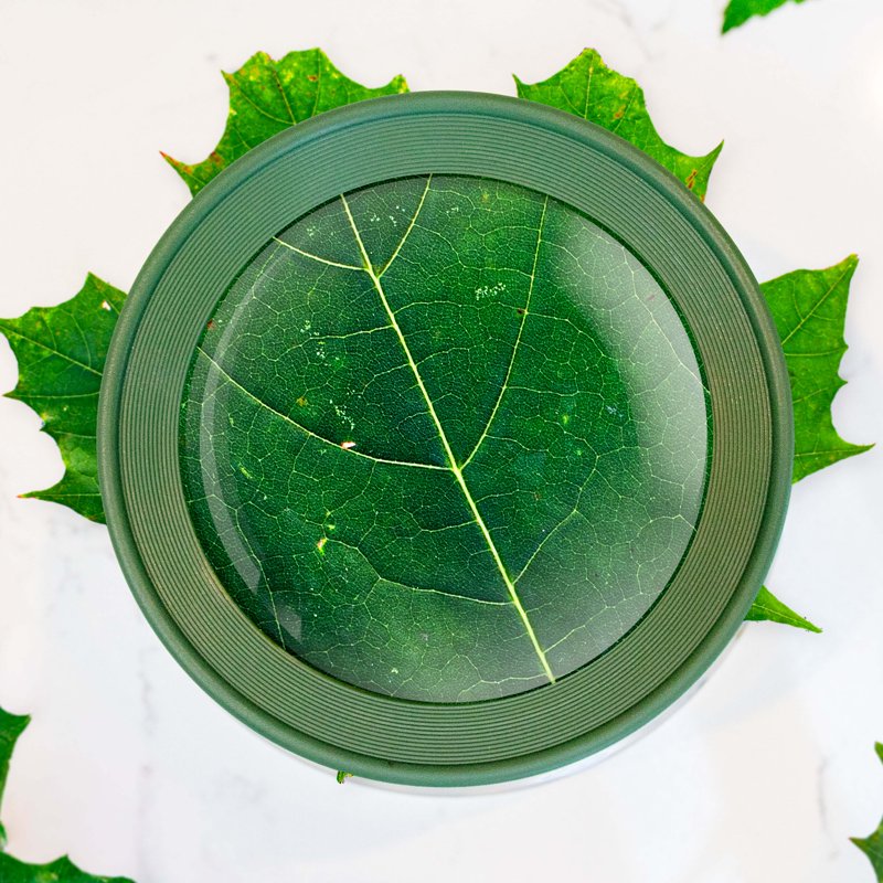 Children's 4.5x Stand Magnifier for Nature Exploration and Learning