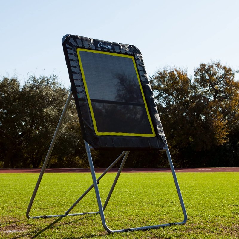 Lacrosse Rebounder Ball Return Net for Training & Practice - 4' x 3'