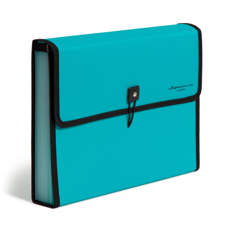 Expandable 13-Pocket File Folder with Tabs - Durable Poly Organizer