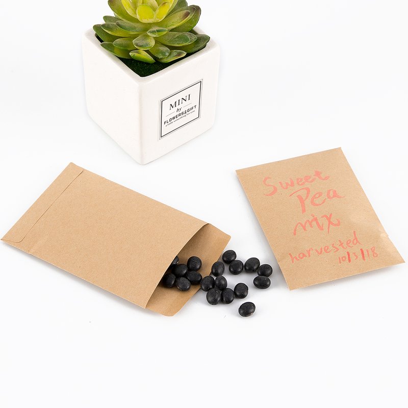 500 Pcs Small Self-Adhesive Kraft Envelopes for Seeds Coins & Small Items