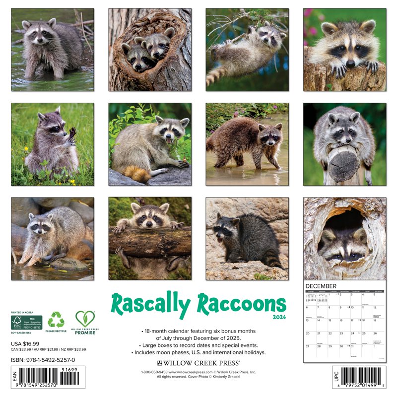 Rascally Raccoons 2026 Wall Calendar - Adorable Animal Decor for Animal Lovers