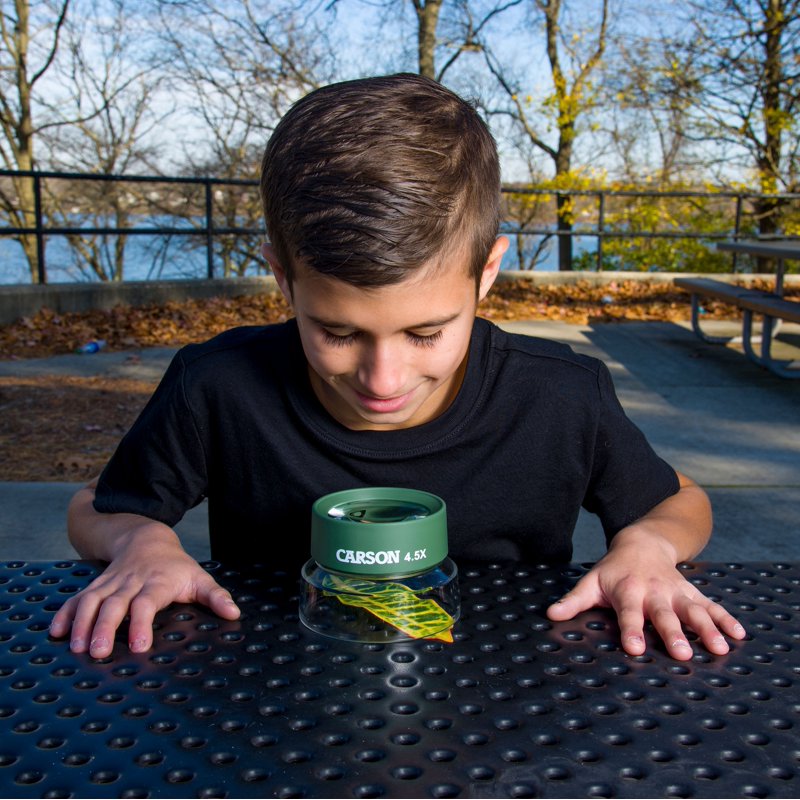 Children's 4.5x Stand Magnifier for Nature Exploration and Learning