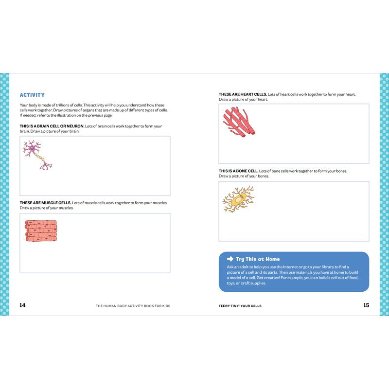 Kids Human Body Activity Book - Fun Anatomy & Science Activities for Ages 4-8