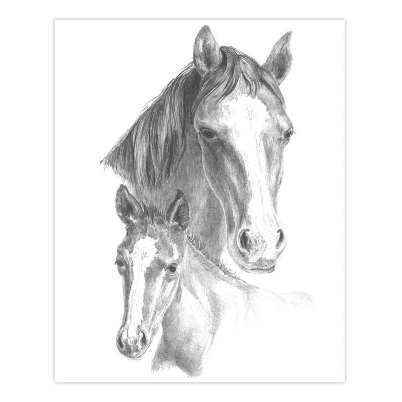 Animals Sketching Activity Set with 9 Projects for Beginners - Art & Drawing Supplies