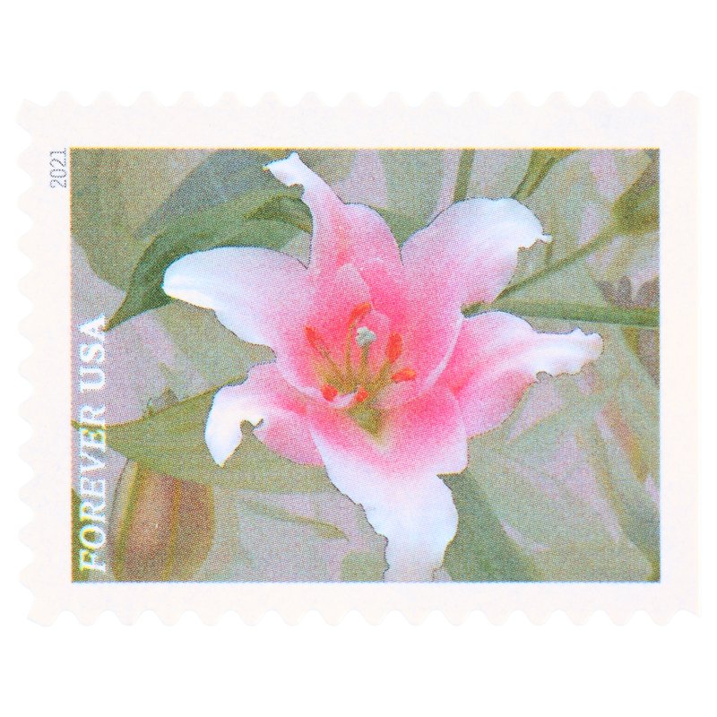 USPS Garden Flower Postage Stamps Book of 20 for First Class Mail