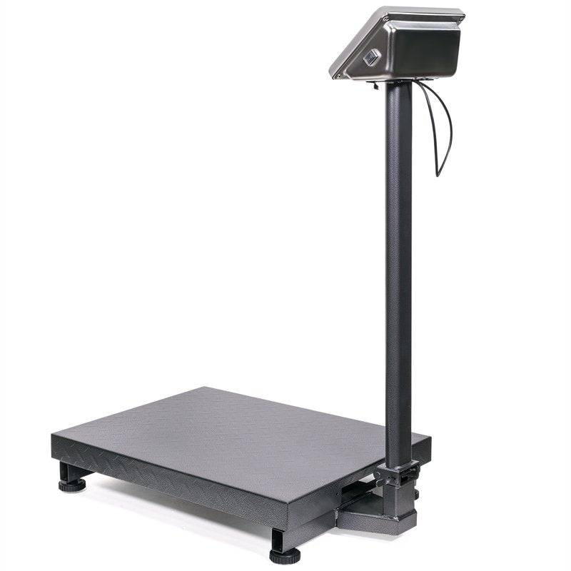 700 lb Digital Platform Scale with Price Computing Stainless Steel Surface