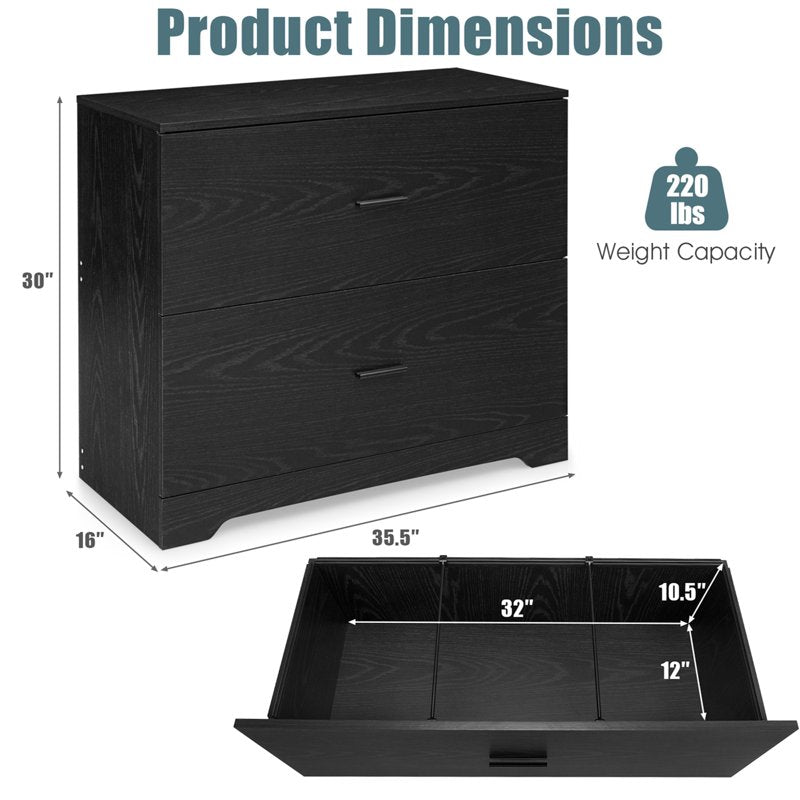 2-Drawer Lateral File Cabinet for Home Office, Adjustable Steel Bars, Black