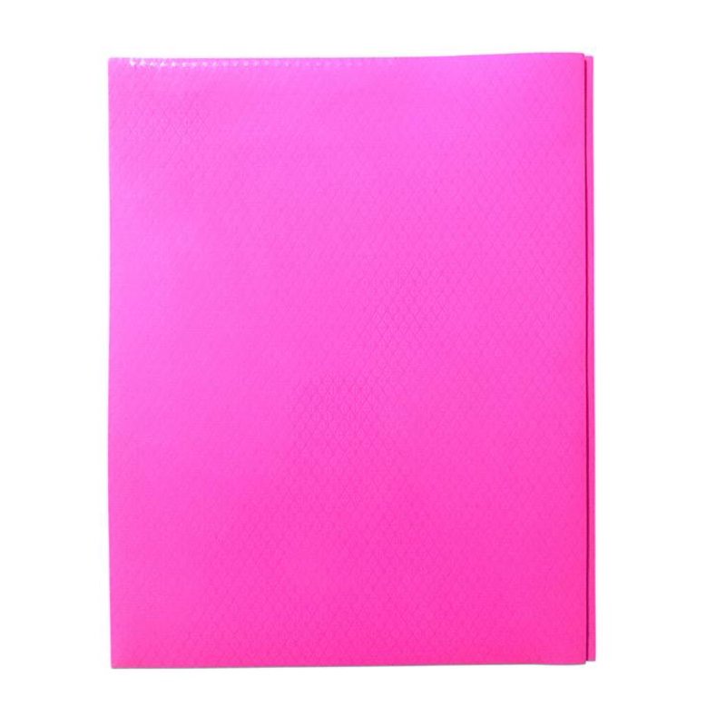 Pink Plastic Folder with Prong Fasteners and 2 Internal Pockets - Office Organization