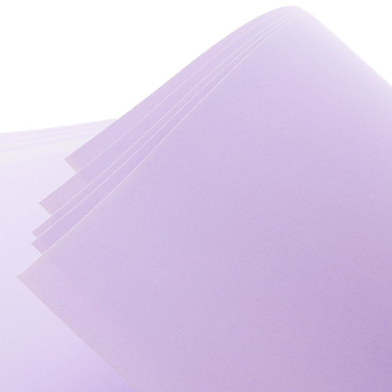 Lavender Poster Board 22x28 Inch Bulk 25 Sheets - School & Craft Display