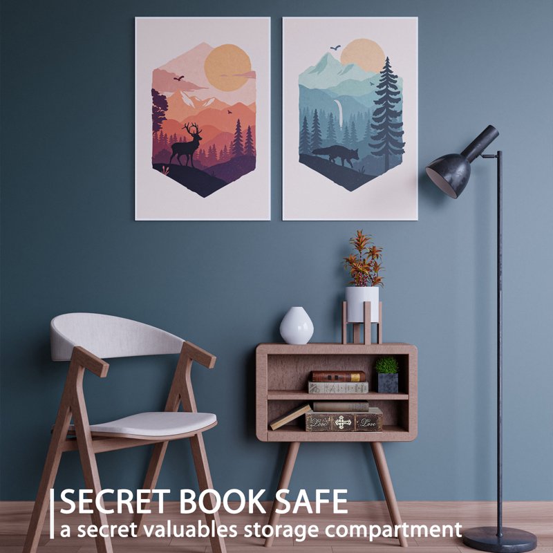 Fireproof Book Safe with Combination Lock - Hidden Money Storage Bag
