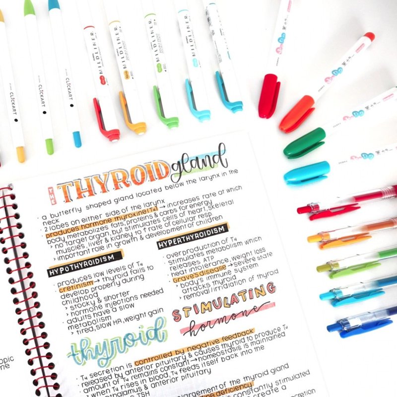 Double Ended Art Marker for Drawing and Highlighting - Blue