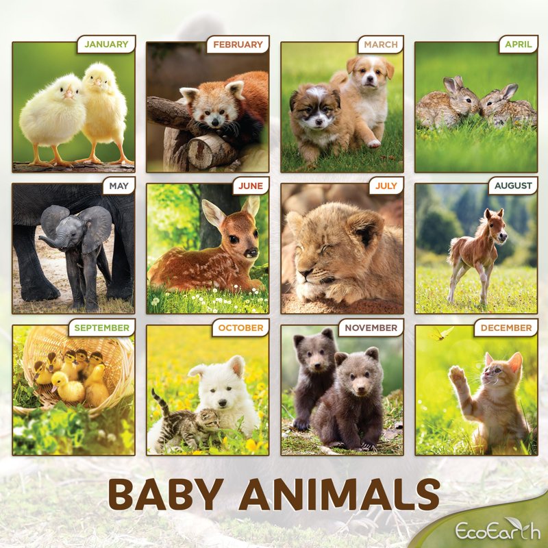 EcoEarth 12-Month Vertical Wall Calendar Baby Animals 11x17 Jan 2027-Dec 2027