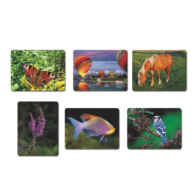 Aquapaintings Easy Painting Kit - Water-Based Art Set for Kids and Beginners