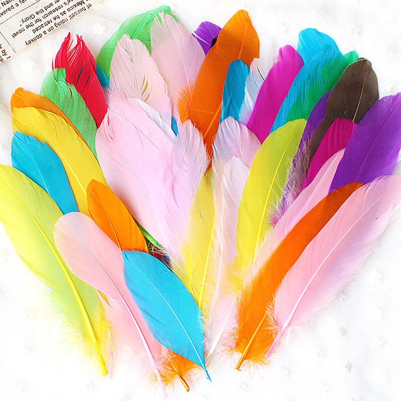Natural Colorful DIY Craft Feathers Set of 50 for Arts & Crafts