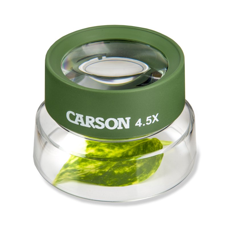 Children's 4.5x Stand Magnifier for Nature Exploration and Learning