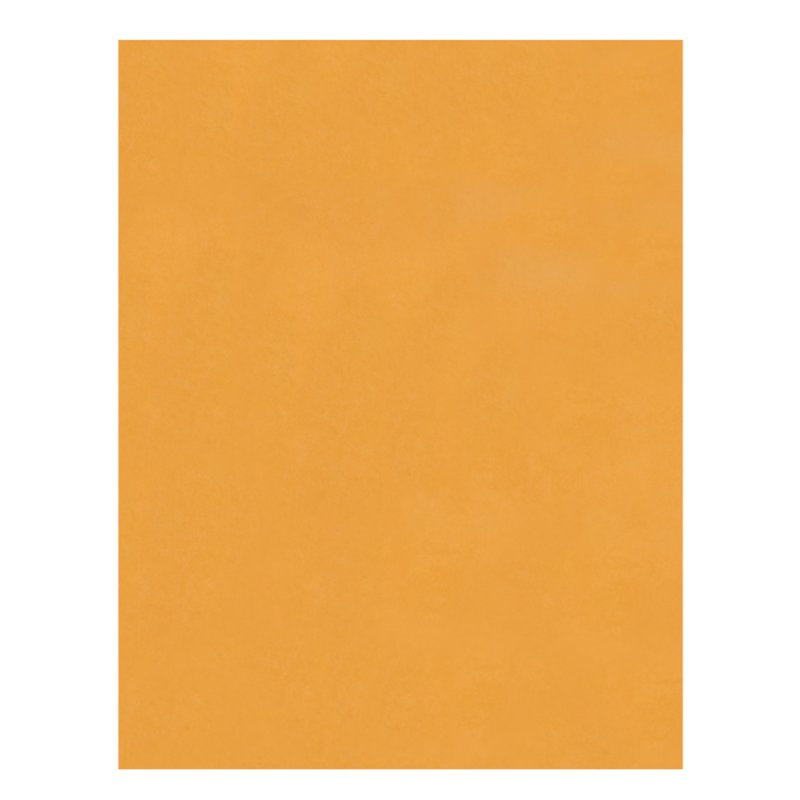 10x13 Redi-Strip Business Envelopes - 28 lb Kraft, Self Seal, 100 Pack