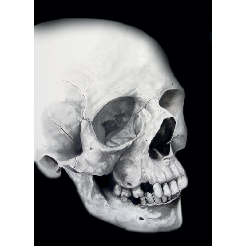 Cretacolor Skull Edition Black & White Drawing Set - 25 High-Quality Art Tools