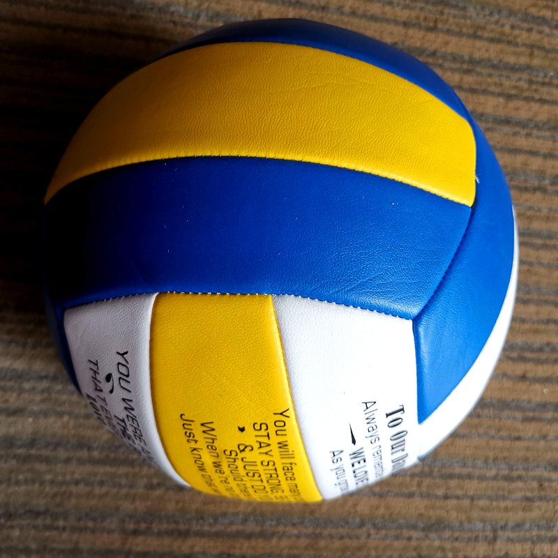 Kids Volleyball Ball - Indoor Outdoor Training Ball for Children - Diameter 8 Inches