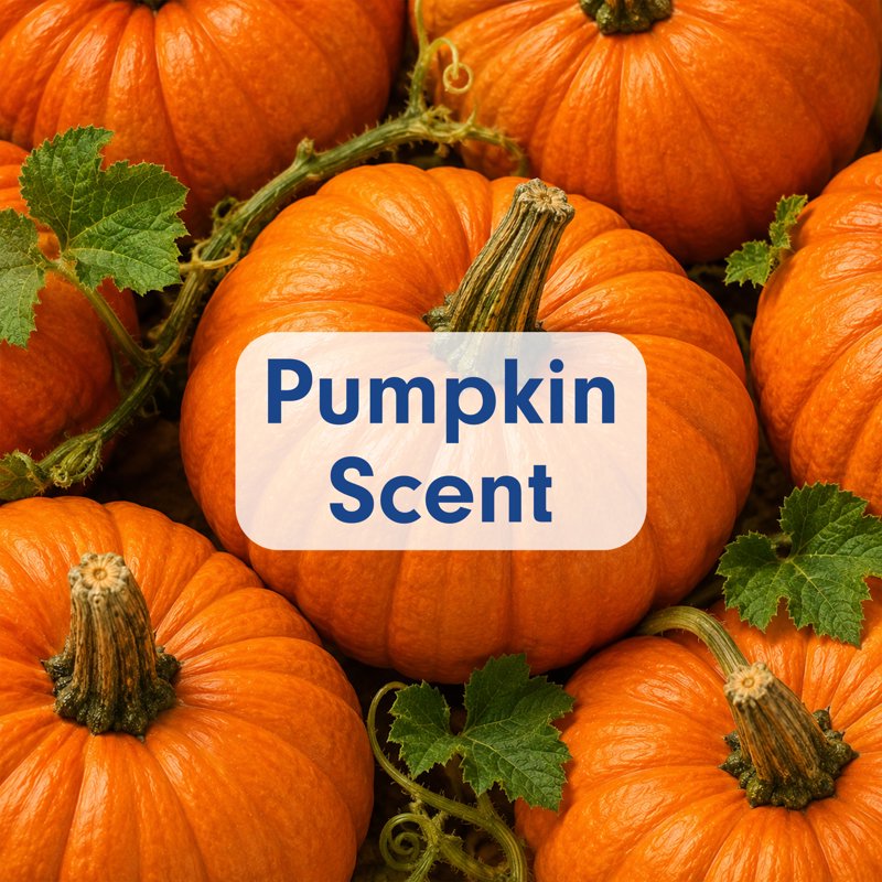Liquid Hand Soap Pumpkin Scent 3 Pack - Limited Edition Fall Decor