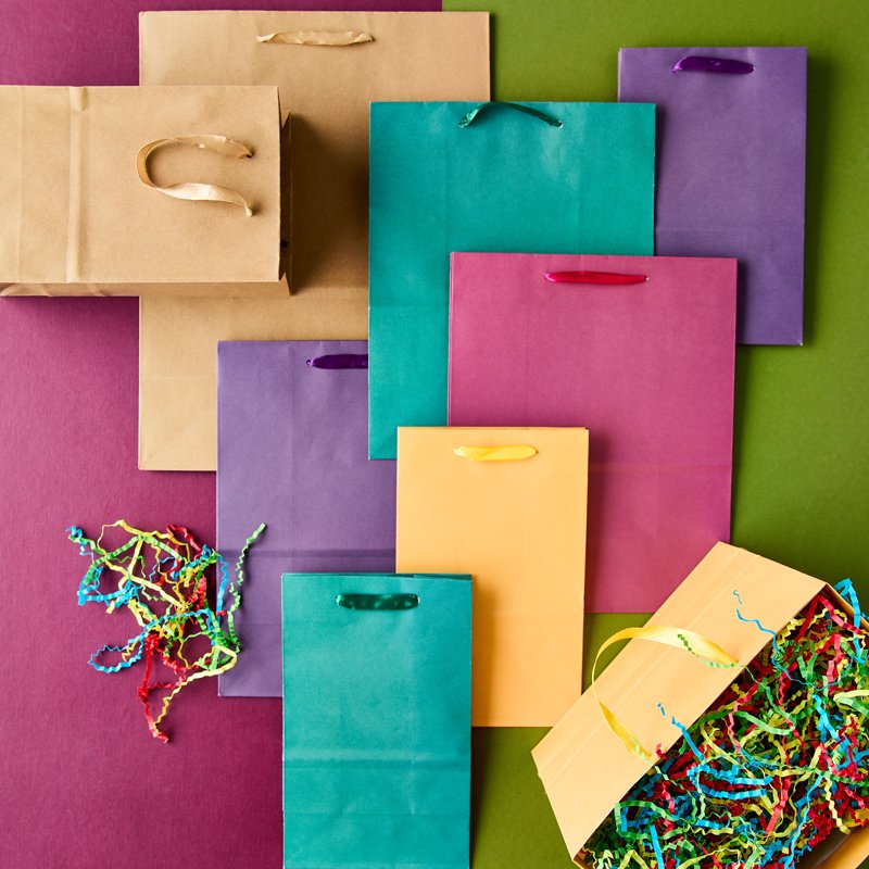 Large Multicolor Gift Bags 8x10 Inches - Set of 13 for Gifts & Crafts