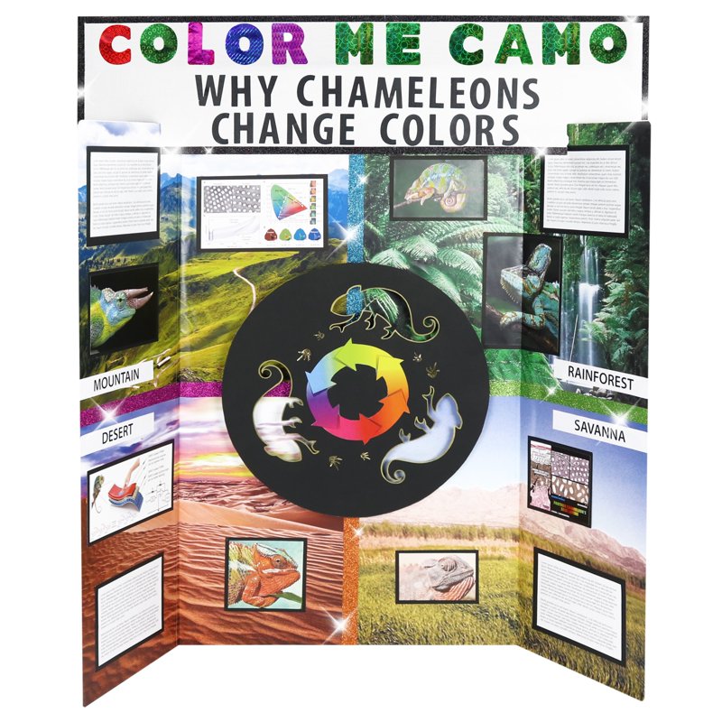 36x48 Inch White Tri-Fold Display Board Kit for School and Office Projects