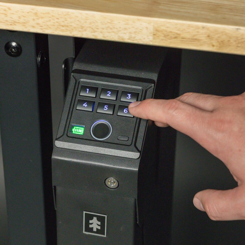 Biometric Gun Safe with Fingerprint & Emergency USB-C Power - Holds 1 Pistol