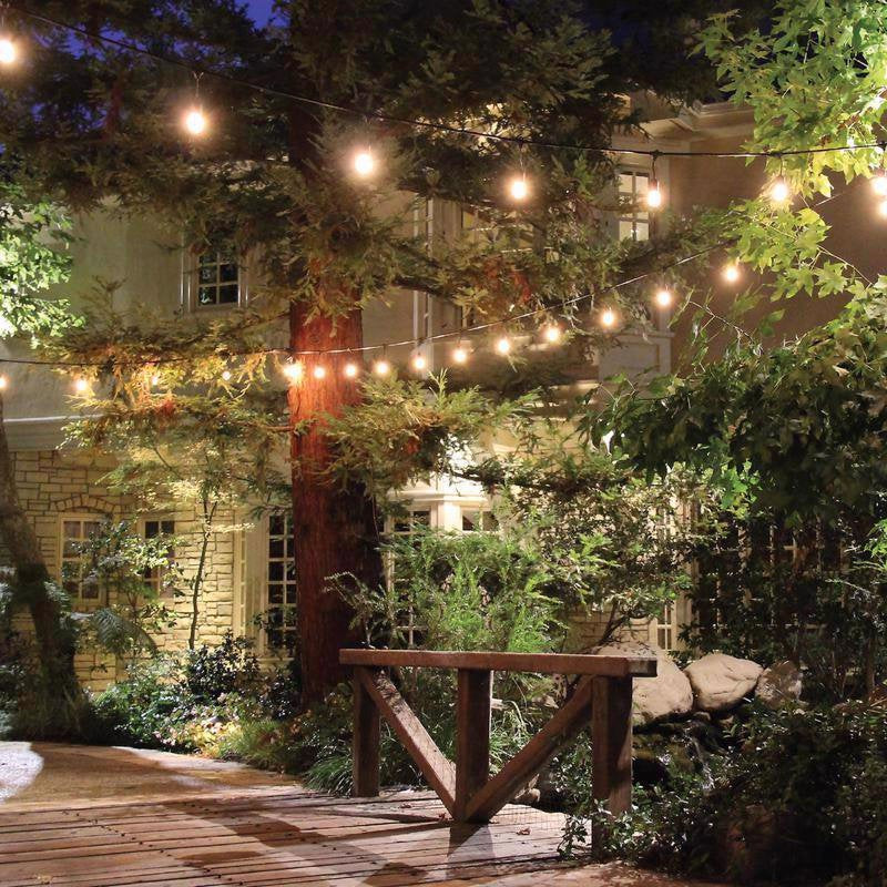 20 ft. Incandescent String Light Set with Clear Bulbs - Indoor & Holiday Decor