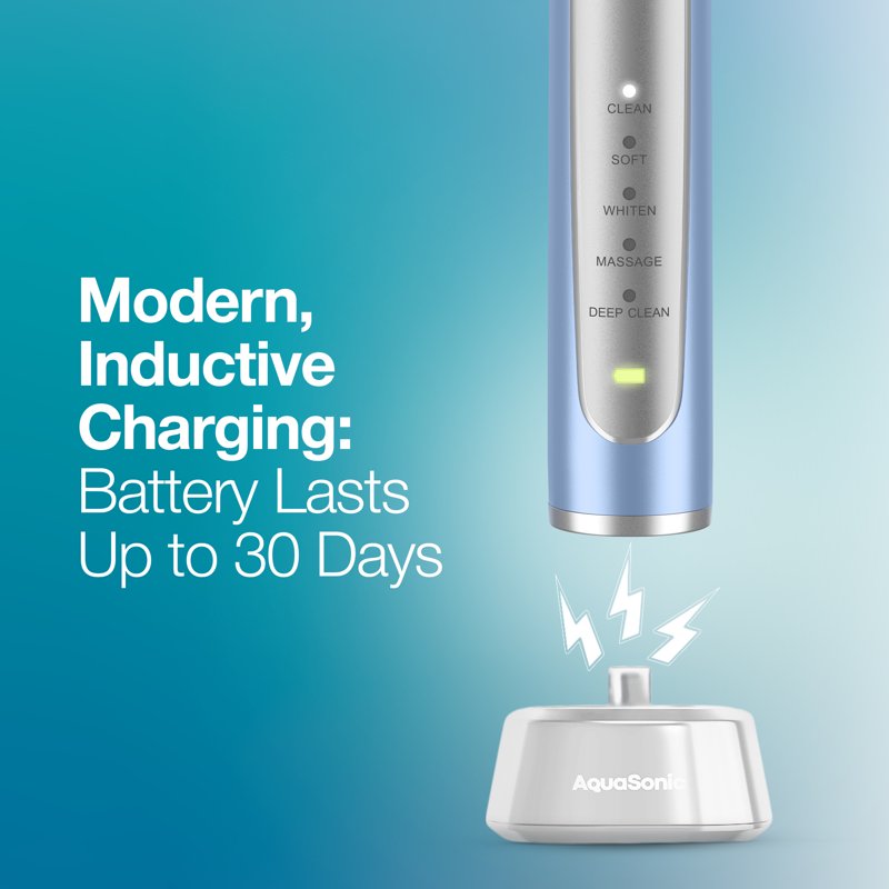 Electric Toothbrush with 5 Modes, 30-Day Battery, Travel Case & 4 Brush Heads
