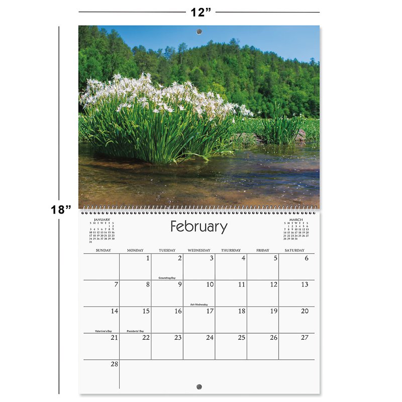 Wildflowers Wall Calendar 2027 - Scenic Nature Photography, 9x12 Inch