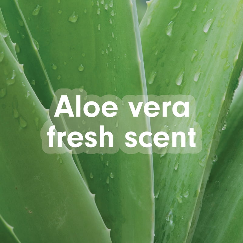 Liquid Hand Soap Refill Aloe Vera Fresh Scent 50 Fl Oz - Softsoap