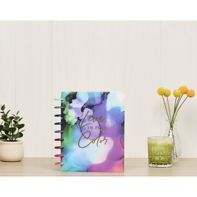 Monthly Weekly Classic Planner Jan-Dec 2026 Live in Color with Sticker Sheets - Discbound Organizer