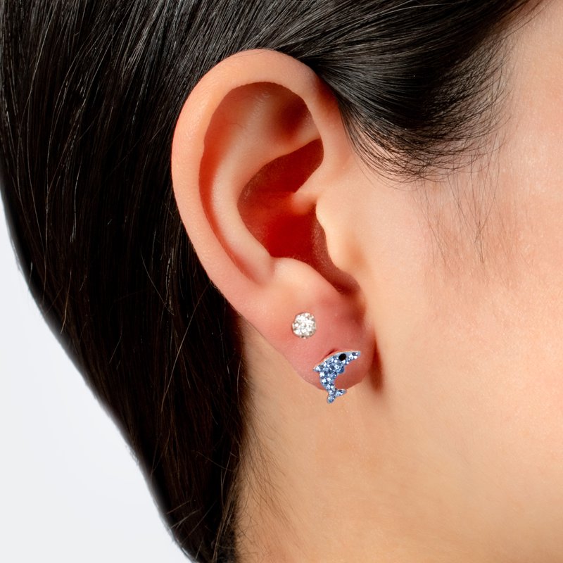 Sterling Silver 2-Piece Earrings Set with Crystal Ball and Dolphin Designs for Women & Teens