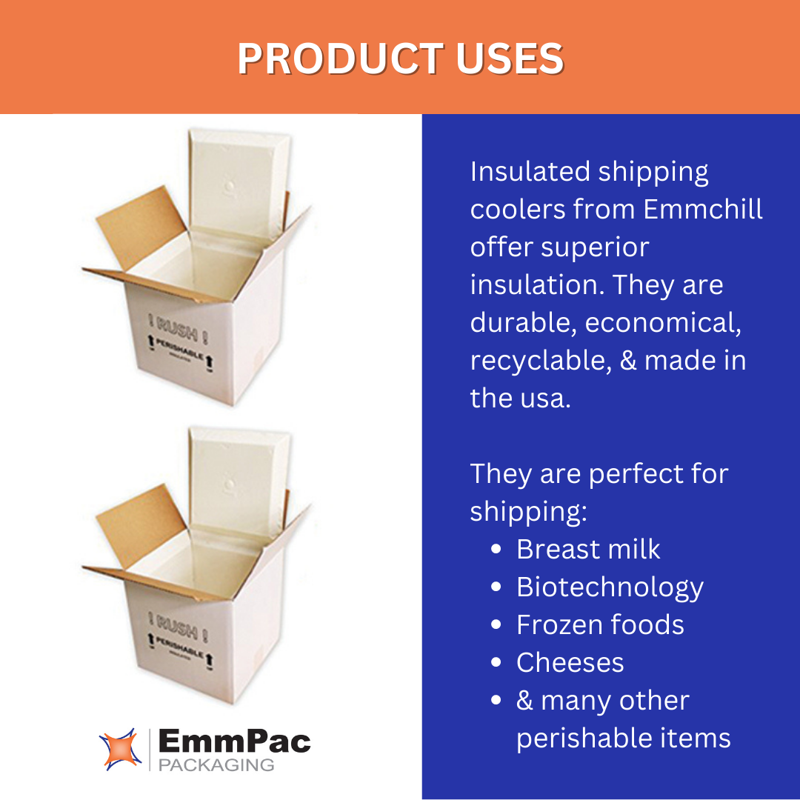 Insulated Shipping Cooler Pack of 2 – 11 x 9 x 9 Inches, Reusable Food & Temperature Shipping Box