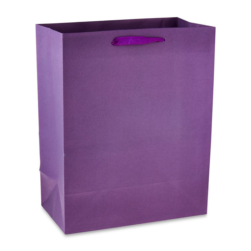 Large Multicolor Gift Bags 8x10 Inches - Set of 13 for Gifts & Crafts