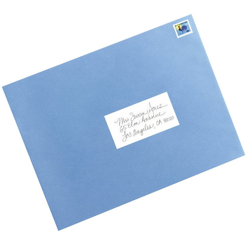 All-Purpose Removable Labels Pack - 2 x 4 Inches, 100 Labels