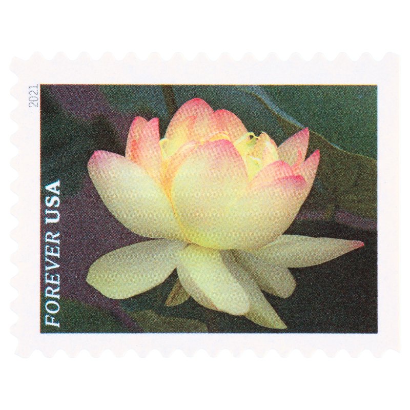 USPS Garden Flower Postage Stamps Book of 20 for First Class Mail