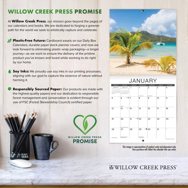 Rascally Raccoons 2026 Wall Calendar - Adorable Animal Decor for Animal Lovers