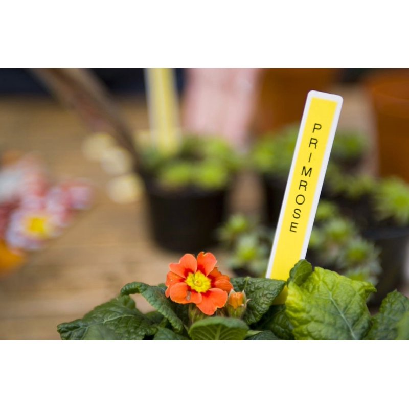 Label Maker with 27 Templates & Custom Font Styles - Portable Office & Home Use