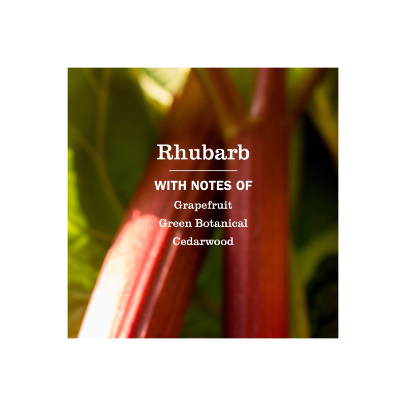 Mrs. Meyer’s Rhubarb Hand Soap - Moisturizing Liquid Hand Wash