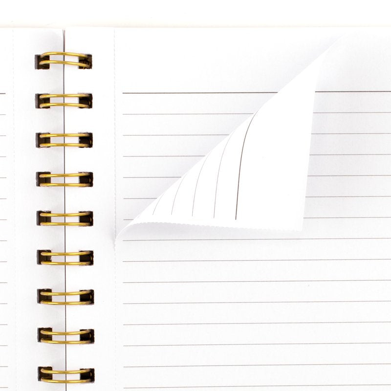 Spiral Notebooks 8x10 Inches - Taupe Cover, 80 Sheets, Legal Ruled, Durable & Tear-Out Pages