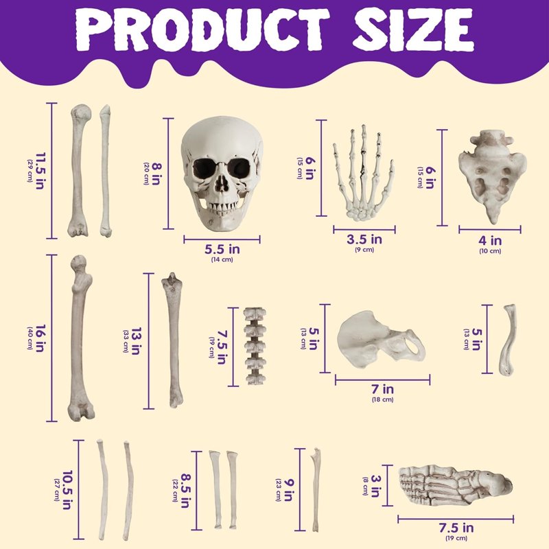 Joyfy 28 Pc Halloween Skeleton Bones & Skull Kit - Indoor/Outdoor Decor, Variation: Suit