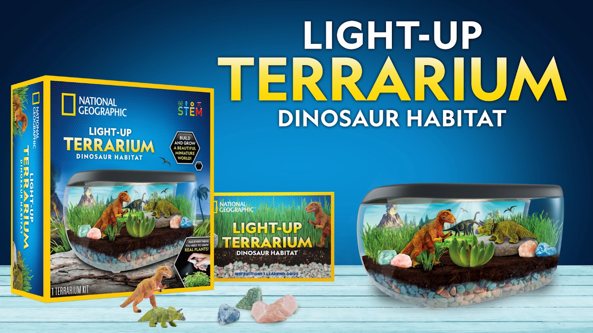 Kids Dinosaur Terrarium Kit with Real Plants Gemstones Light-Up Lid