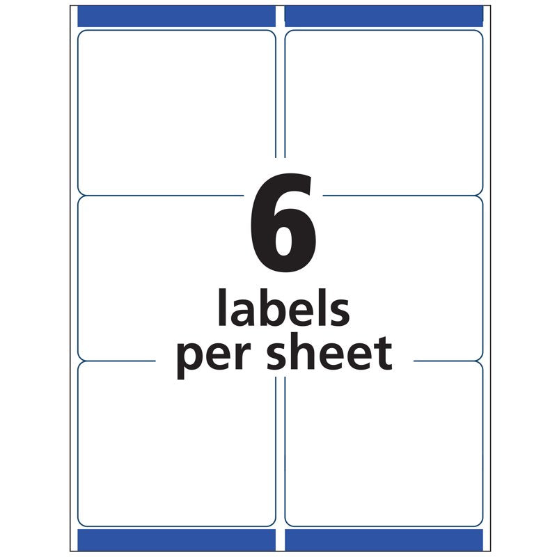 Removable ID Labels 3-1/3 x 4 Inches, Smudge-Free, 150 Labels for Office & Personal Use
